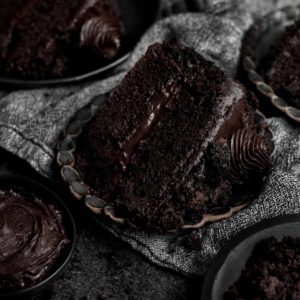 close up of a slice of chocolate cake with filling