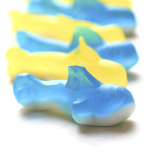 Close up image of blue and yellow gummy sharks.