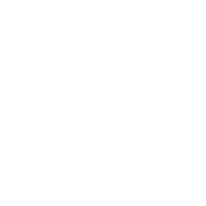 palm tree on island graphic in white