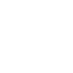 image of world globe in white