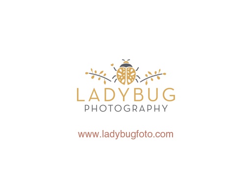 The logo for Ladybug Photography, featuring a stylized golden ladybug with decorative branches, the text 'Ladybug Photography,' and the website 'www.ladybugfoto.com' below.